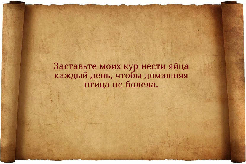 Заговоры для того, чтобы куры неслись ежедневно и хорошо