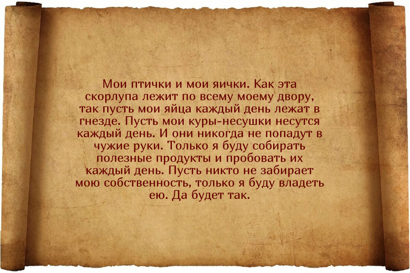 Заговоры для того, чтобы куры неслись ежедневно и хорошо