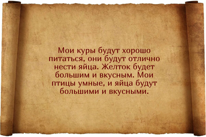 Заговоры для того, чтобы куры неслись ежедневно и хорошо