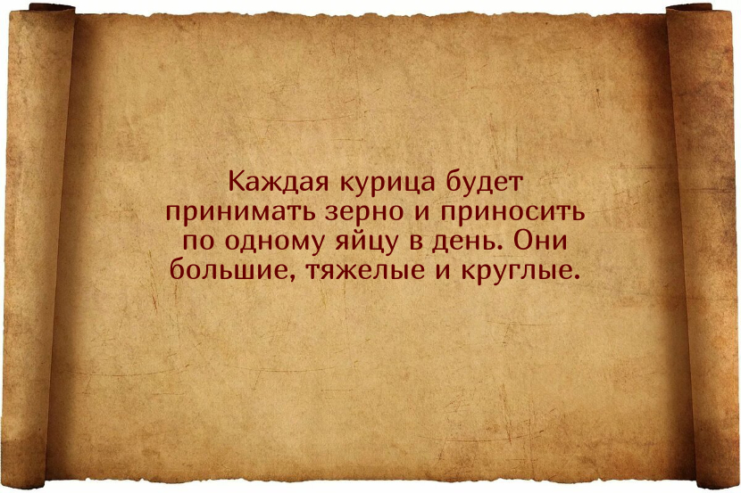 Заговоры для того, чтобы куры неслись ежедневно и хорошо