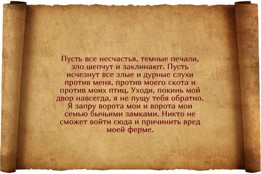 Заговоры для того, чтобы куры неслись ежедневно и хорошо