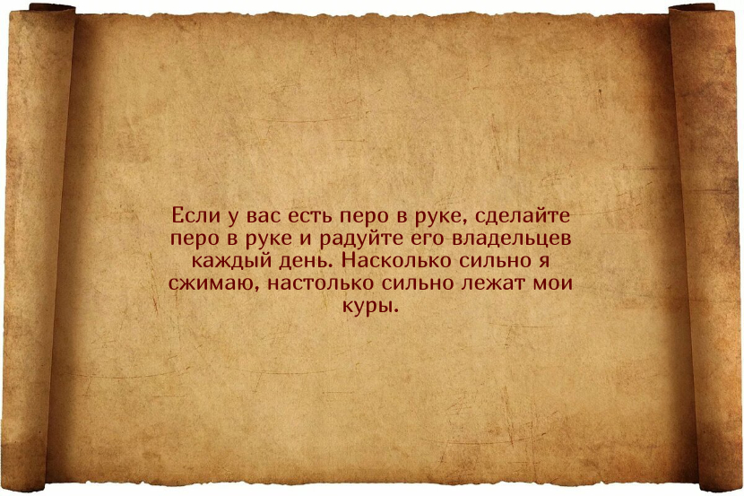 Заговоры для того, чтобы куры неслись ежедневно и хорошо
