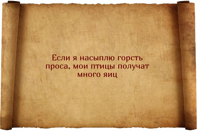 Заговоры для того, чтобы куры неслись ежедневно и хорошо