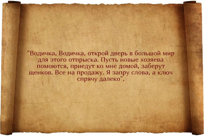 Заговоры на продажу щенков