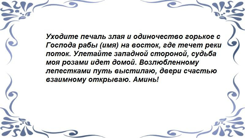 На розе 