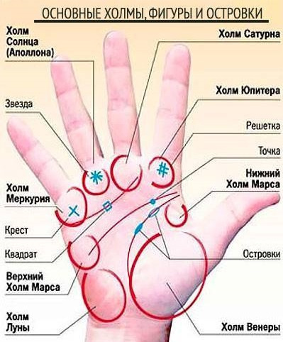холмы 