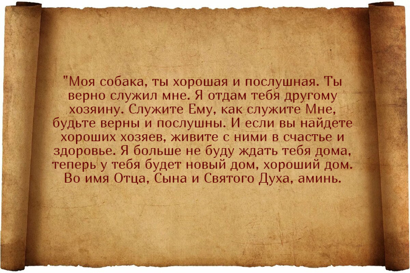 Заговоры на продажу щенков