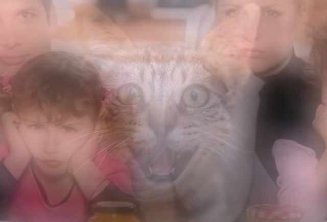 Как понять, что в доме злой дух