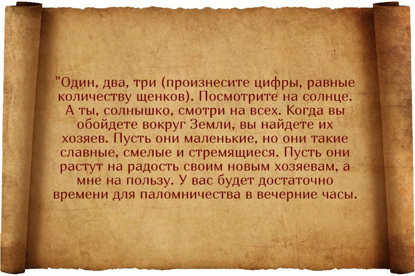 Заговоры на продажу щенков