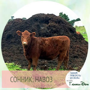 навоз по соннику