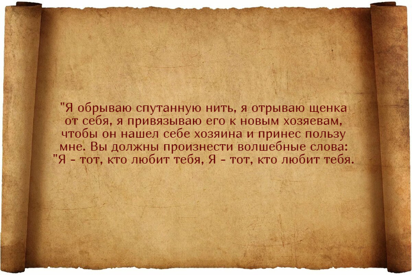 Заговоры на продажу щенков