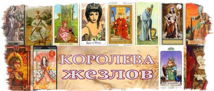 трефовая королева таро значение 