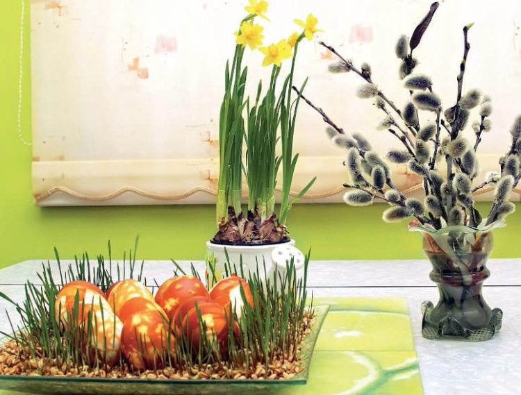 Пшеница и красители