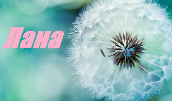 Имя Лана с одуванчиком в качестве фона 