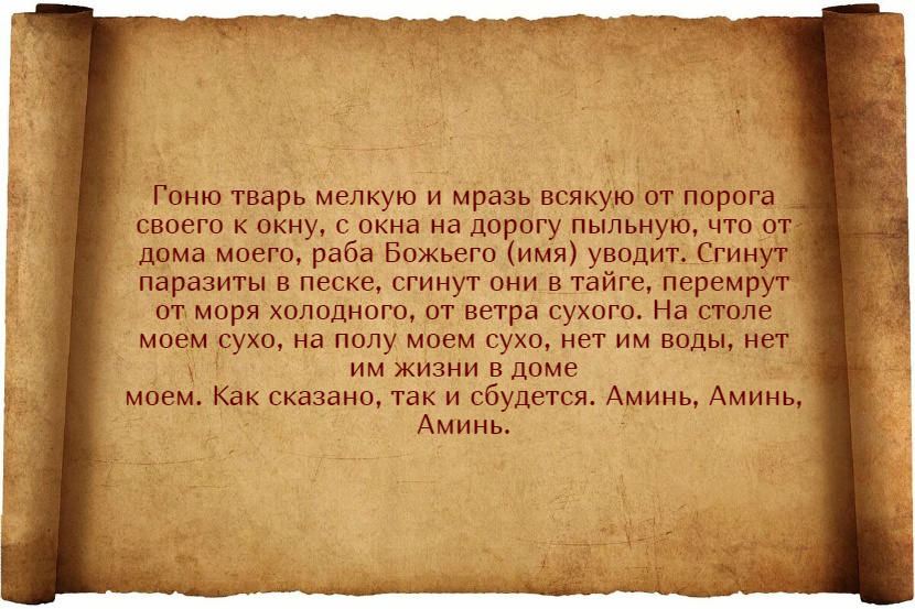 Заговор от тараканов
