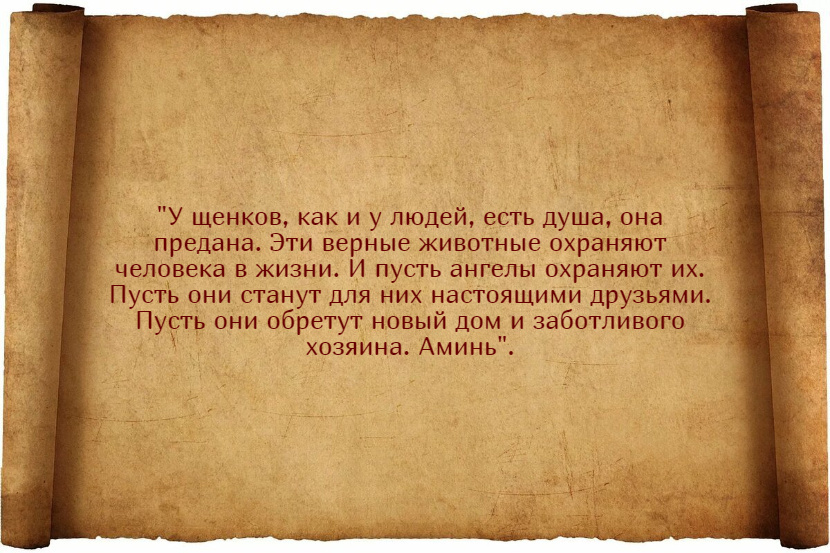 Заговоры на продажу щенков