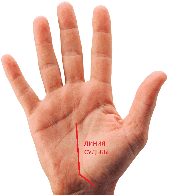 линия судьбы 