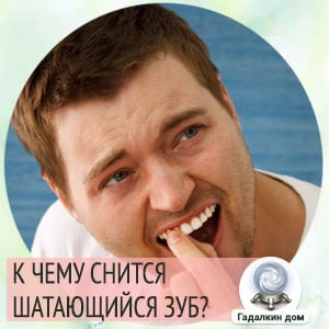 к чему снится шатающийся зуб без крови
