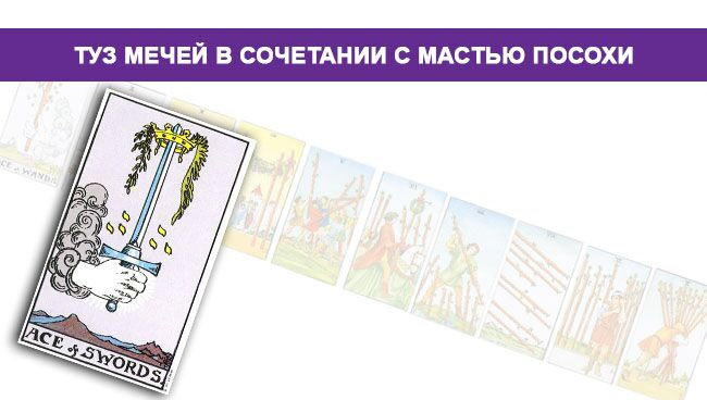 Значение Туза Мечей Таро в сочетании с мастью Клубов 